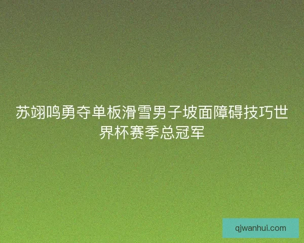 苏翊鸣勇夺单板滑雪男子坡面障碍技巧世界杯赛季总冠军