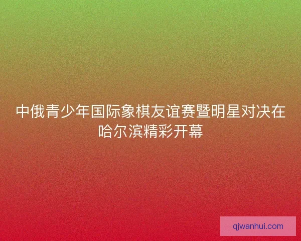 中俄青少年国际象棋友谊赛暨明星对决在哈尔滨精彩开幕 中俄青少年国际象棋友谊赛暨明星对决在哈尔滨精彩开幕
