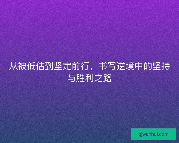 从被低估到坚定前行，书写逆境中的坚持与胜利之路