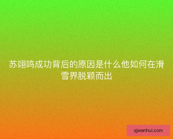 苏翊鸣成功背后的原因是什么他如何在滑雪界脱颖而出